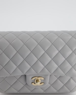 Chanel Wave Strap Bag In Dove Grey Lambskin with Champagne Gold Hardware