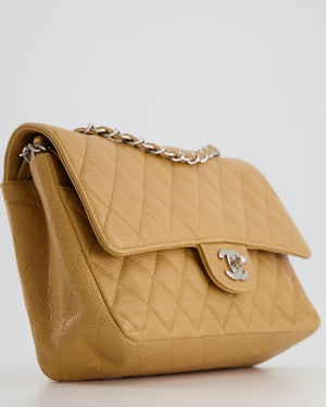 Chanel Chai Latte Medium Classic Double Flap Bag in Caviar with Silver Hardware