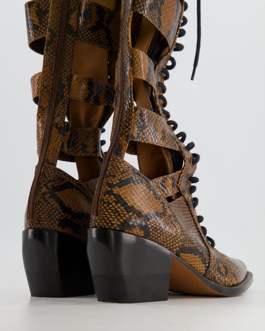 Chloé Brown Python Lace-Up High Knee Cowboy Boots Size EU 41