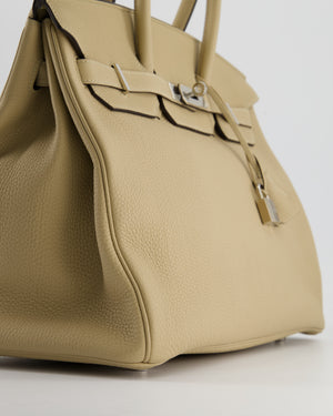 Hermès Birkin 35cm in Trench Togo Leather with Palladium Hardware