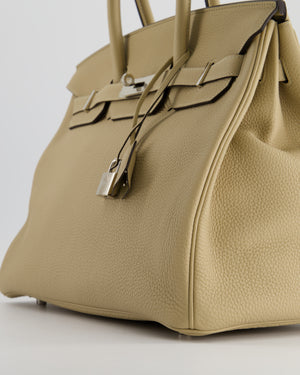 Hermès Birkin 35cm in Trench Togo Leather with Palladium Hardware