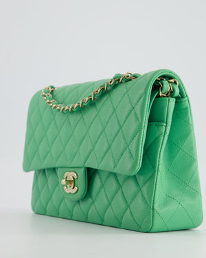 Chanel Mint Green Medium Classic Double Flap in Caviar Leather with Champagne Gold Hardware