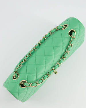 Chanel Mint Green Medium Classic Double Flap in Caviar Leather with Champagne Gold Hardware