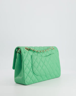 Chanel Mint Green Medium Classic Double Flap in Caviar Leather with Champagne Gold Hardware