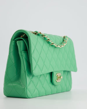 Chanel Mint Green Medium Classic Double Flap in Caviar Leather with Champagne Gold Hardware