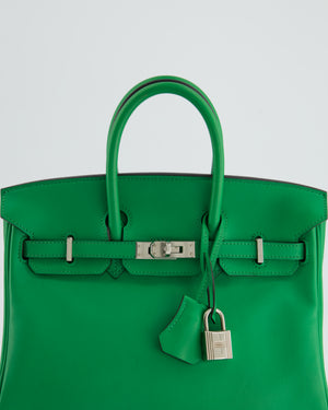 Hermès Birkin Bag 25cm Bamboo in Swift Leather with Palladium Hardware Bag