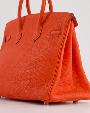 Hermès Birkin 25cm Bag in Capucine Togo Leather and Palladium Hardware