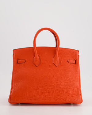 Hermès Birkin 25cm Bag in Capucine Togo Leather and Palladium Hardware