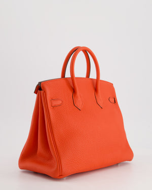 Hermès Birkin 25cm Bag in Capucine Togo Leather and Palladium Hardware