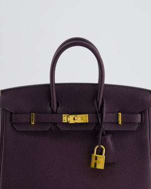 *HOT COLOUR* Hermès Birkin 25cm Retourne Bag in Raisin Togo Leather with Gold Hardware