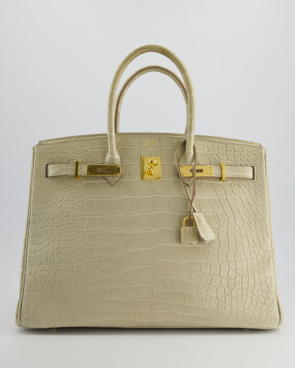 Hermès Birkin 35cm Bag in Beton Alligator Mississippiensis with Gold Hardware