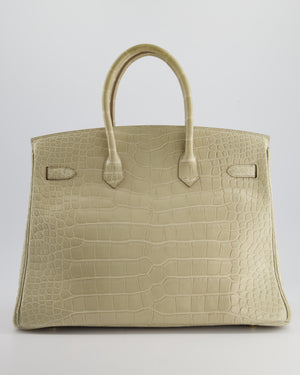 Hermès Birkin 35cm Bag in Beton Alligator Mississippiensis with Gold Hardware