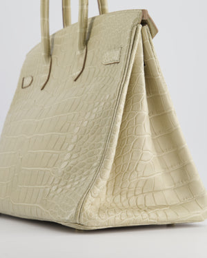 Hermès Birkin 35cm Bag in Beton Alligator Mississippiensis with Gold Hardware