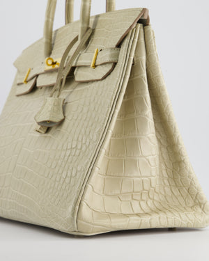 Hermès Birkin 35cm Bag in Beton Alligator Mississippiensis with Gold Hardware