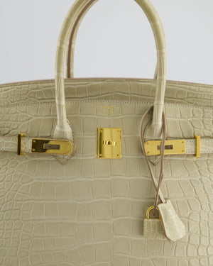 Hermès Birkin 35cm Bag in Beton Alligator Mississippiensis with Gold Hardware