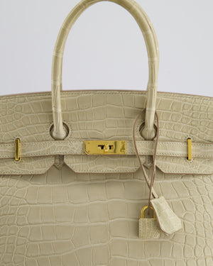 Hermès Birkin 35cm Bag in Beton Alligator Mississippiensis with Gold Hardware