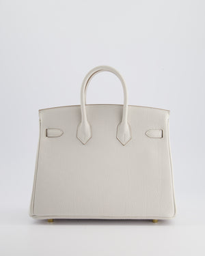 *RARE* Hermès Birkin Retourne 25cm Bag in Gris Pale Togo Leather with Gold Hardware