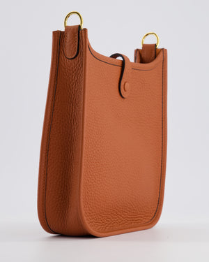 *HOT COLOUR* Hermès Mini Evelyne Bag in Cuivre Clemence Leather with Gold Hardware