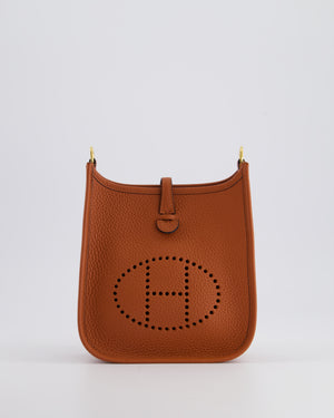 *HOT COLOUR* Hermès Mini Evelyne Bag in Cuivre Clemence Leather with Gold Hardware