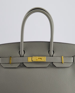 Hermès Birkin 30cm Retourne Bag in Gris Mourette Togo Leather With Gold Hardware