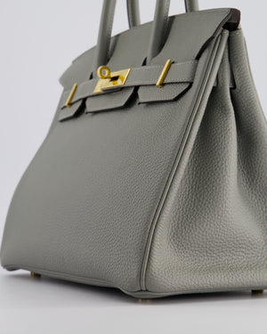 Hermès Birkin 30cm Retourne Bag in Gris Mourette Togo Leather With Gold Hardware