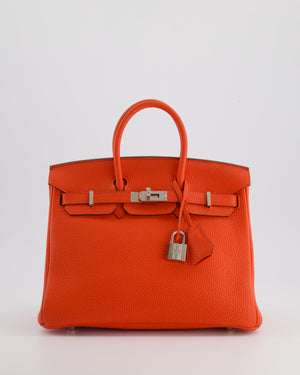 Hermès Birkin 25cm Bag in Capucine Togo Leather and Palladium Hardware