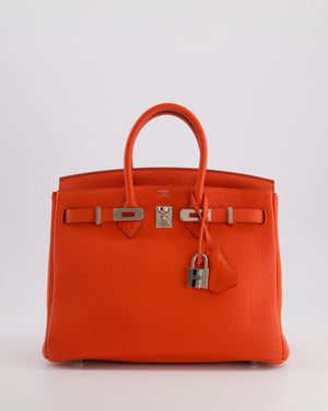 Hermès Birkin 25cm Bag in Capucine Togo Leather and Palladium Hardware