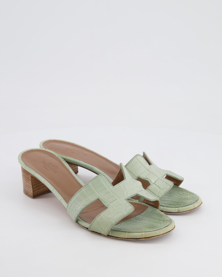 *FIRE PRICE* Hermès Oasis Sandals in Vert d
Eau Alligator Leather Size EU 37.5 RRP £3,250