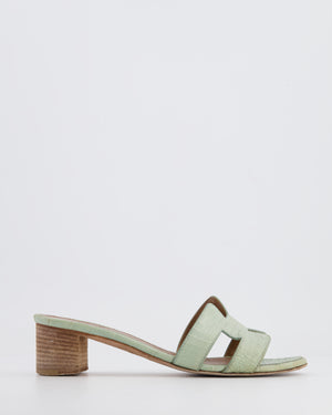 *FIRE PRICE* Hermès Oasis Sandals in Vert d
Eau Alligator Leather Size EU 37.5 RRP £3,250