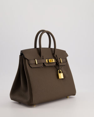 *RARE COLOUR* Hermès Birkin 25cm Bag Retourne in Ecorce Togo Leather with Gold Hardware