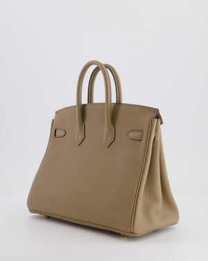 Hermès Birkin 25cm Retourne in Beige Marfa Togo Leather with Gold Hardware