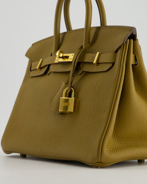 *HOT COLOUR* Hermès Birkin 25cm Retourne in Bronze Dore Togo Leather with Gold Hardware