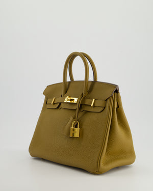 *HOT COLOUR* Hermès Birkin 25cm Retourne in Bronze Dore Togo Leather with Gold Hardware