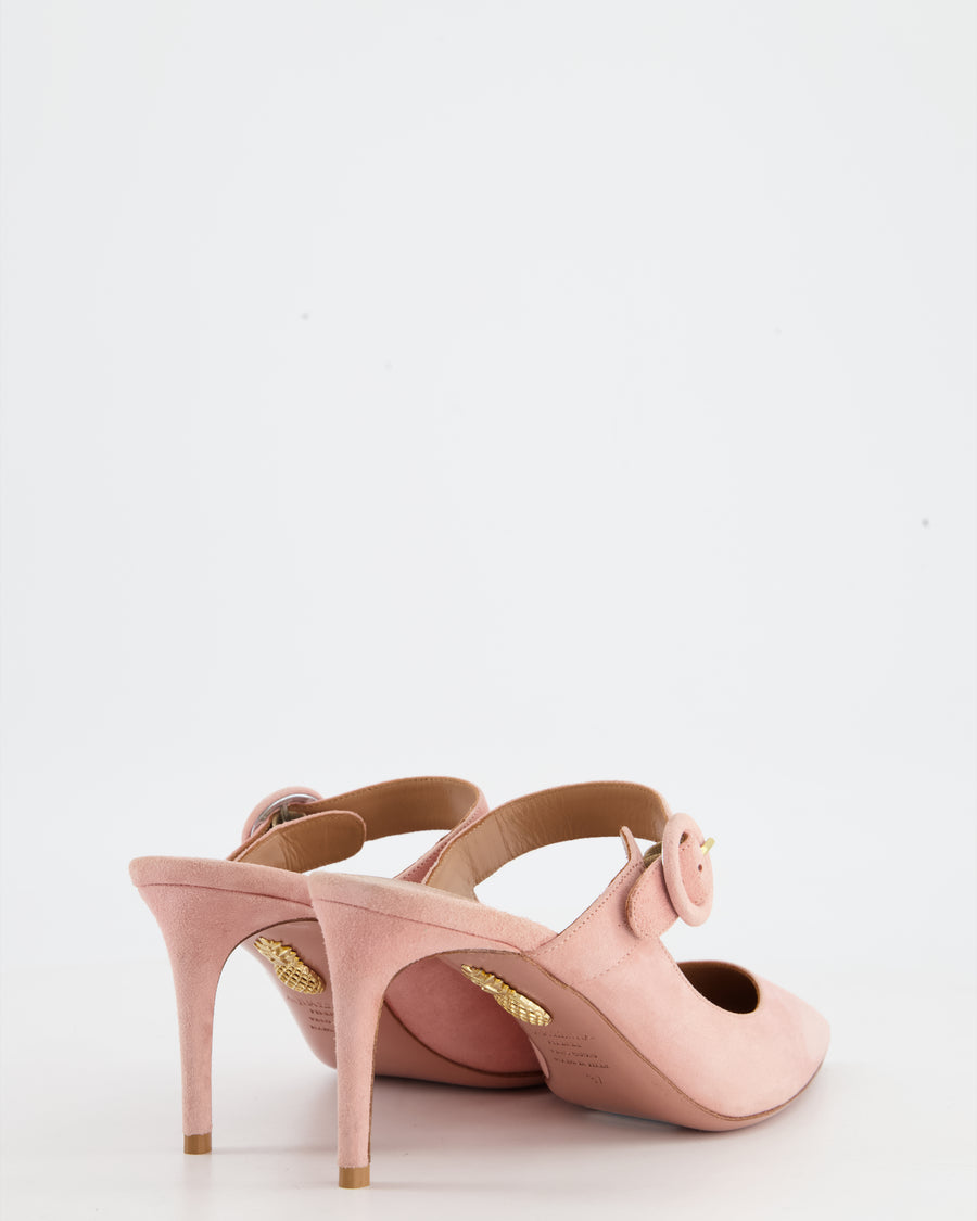 Aquazzura Light Pink Suede Mules with Buckle Strap Size EU 37